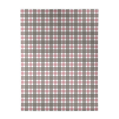 Plaid Indoor Rug