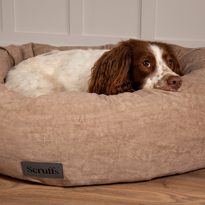 Polyester Pet Bed, Light Brown, Extra Large (32-40kg)