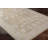 Don Oriental Indoor Rug-1290633571