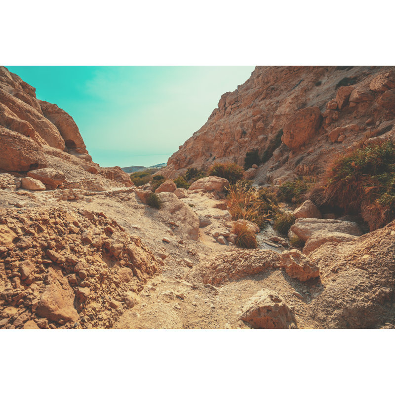Jeremial " Jeremial Hiking Path, Ein Gedi " by Vvvita, 8" H x 12" W