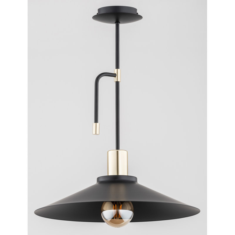 - Light Pendant