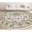 Oriental Area Rug