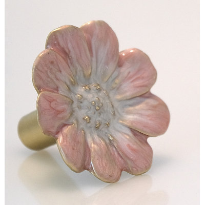 3/2" Novelty Knob Multipack