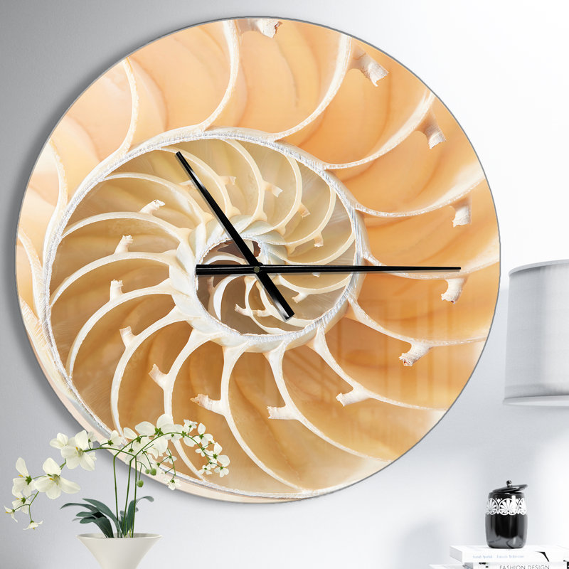 Motif de coquillage brun Nautilus - horloge murale moderne, Moyen