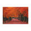 No Frame Print on Canvas-588420531