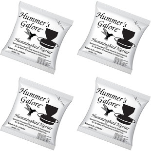 Hanging Hummingbird Feeder (Set of 4)
