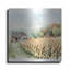  «Countryside Autumn Barn 2» par Nicole DeCamp, art mural en métal, 24 po x 24 po-1415021683