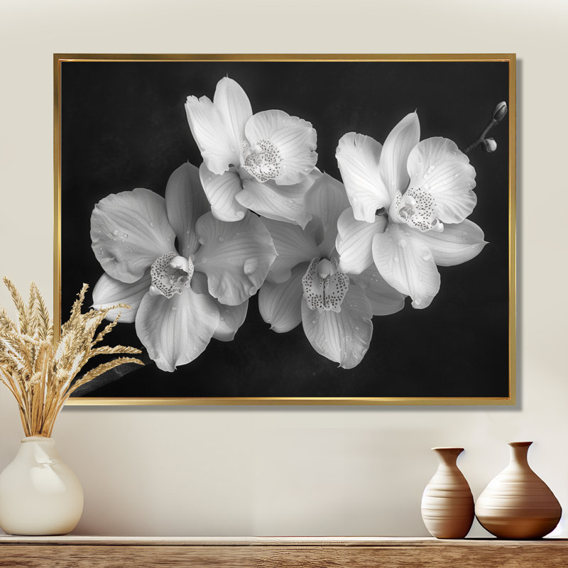 Art botanique noir et orchidées photo II - Orchidées murales, Cadre flottant doré, H 24 po x l 32 po