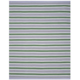 Racing Point Flatweave Striped Area Rug in Lilac/Green