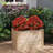 Elevated Planter Box With Open-ended Base For Deep-rooted Vegetable-932844859