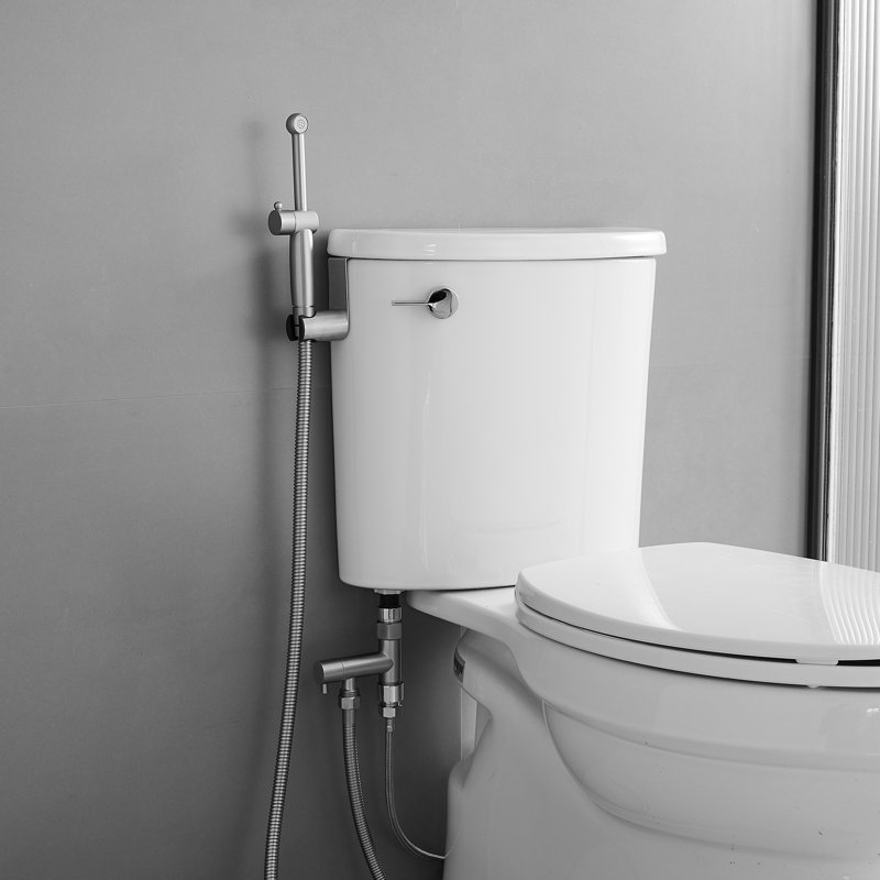 Hand Held Bidet, Brushed Nickel