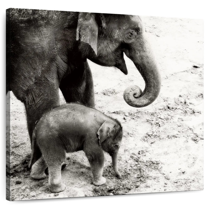 Brampt, mère et fille, éléphant, H 30 po x l 30 po