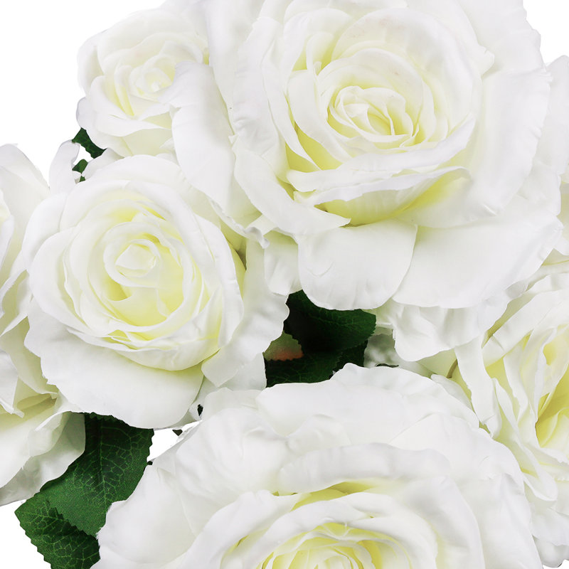 Rosier artificiel, Blanc