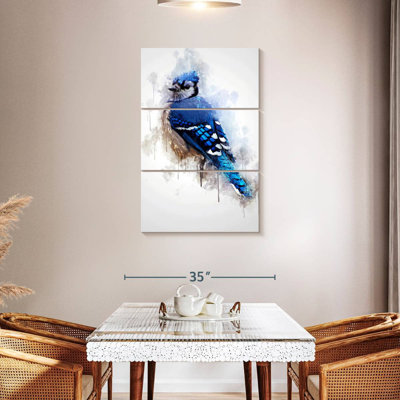 Brampt Blue Jay Bird