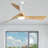 Kemp 52'' 3 - Blade Classic Propeller Ceiling Fan with Remote Control and LED Light Kit Included-11883308