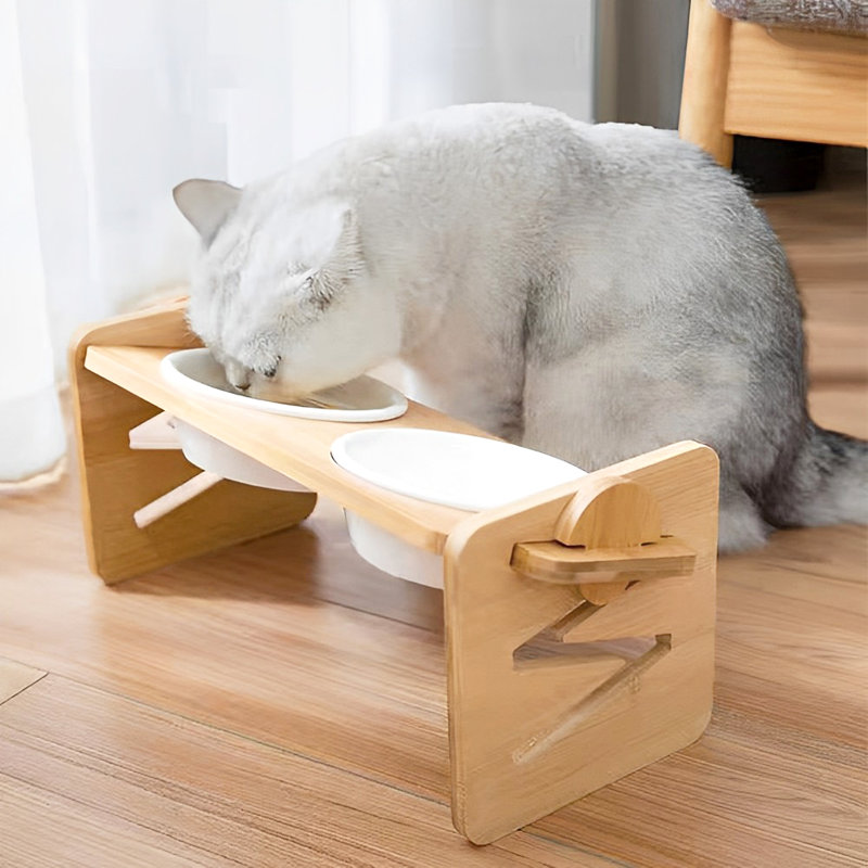 Elevated Feeder