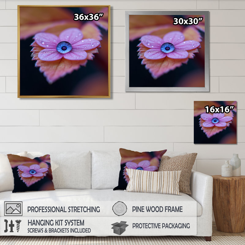 Macro rosée goutte pivoine rose - art mural floral moderne, Cadre flottant noir, bois massif, H 16 po x l 16 po