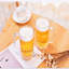 500ml Wine Glass