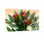 Plantes et fleurs Fleurs tropicales et motif de feuilles vertes-1286255779-1286255791-1286255776