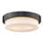Ayzen Glass Flush Mount-100896865-44218630