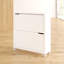12 Pair Shoe Storage Cabinet