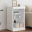 Basima 41cm Sideboard-190251443