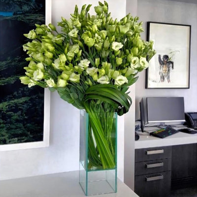 Pot de fleurs rectangulaire en verre transparent