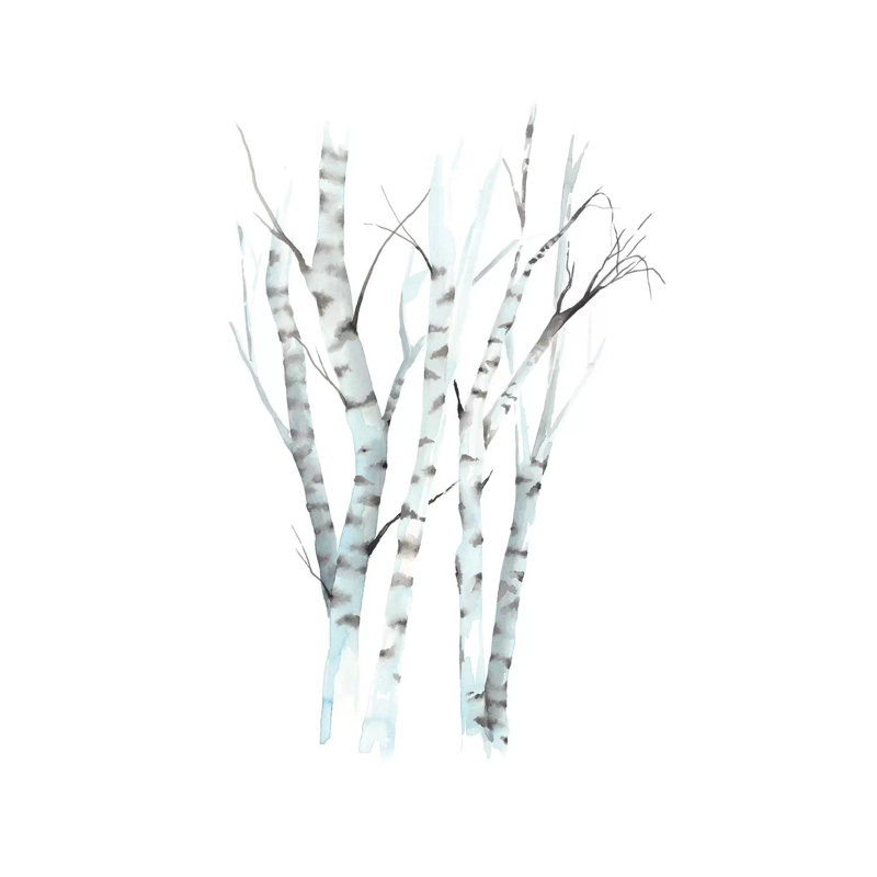Aquarelle Birches II by Grace Popp - Wrapped Canvas Painting, 20.32 cm H x 30.48 cm W