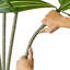 Dracaena artificiel Kren, pot à fleurs blanc, soie soyeuse réaliste 60 pouces-132797860-132797862
