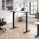 Move 40 Series Electric Height Adjustable Standing Desk