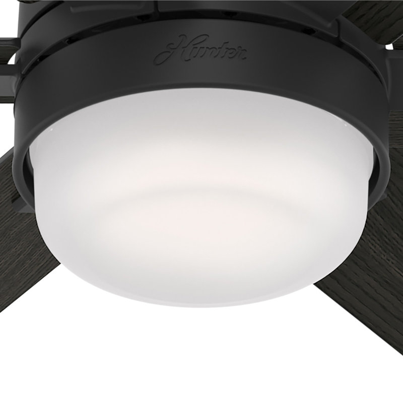 Radeon 44" Matte Black Smart Ceiling Fan with LED Light and Remote