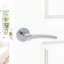 Carol Lever Door Handle Dual Tone