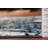 Transitional Oriental Rug 4x6