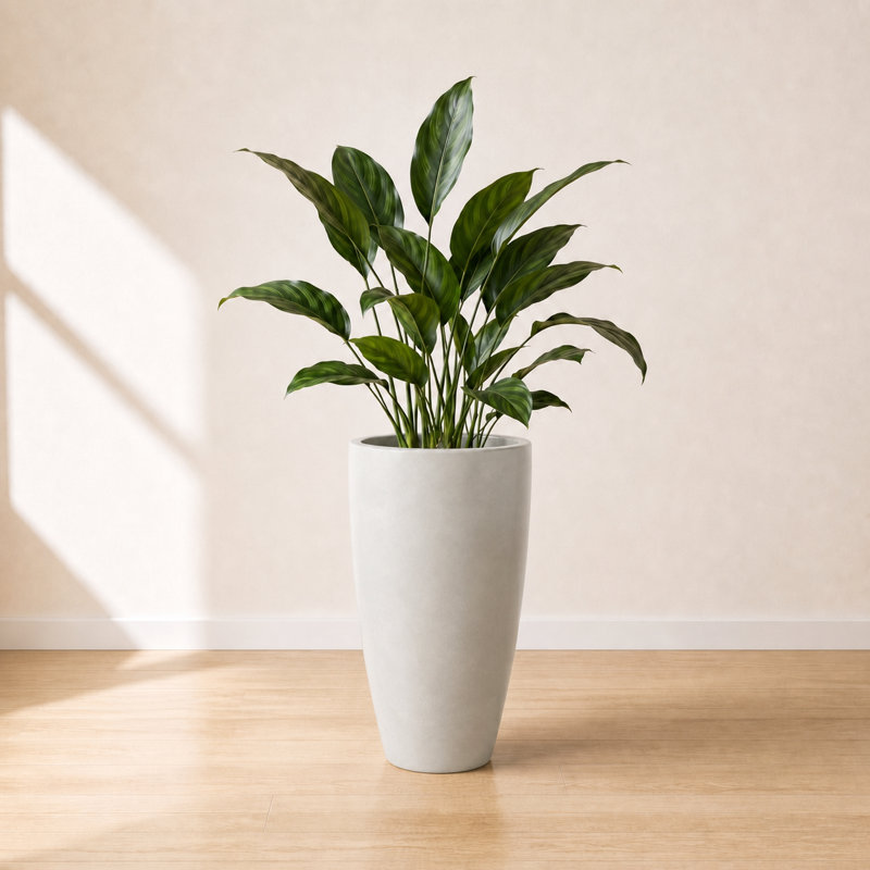 ECOBO Eco-Friendly Round Pot Planter, VicenzaIndoor/Outdoor use,Four Season Use, Off White, 27.6" H x 15.7" W x 15.7" D