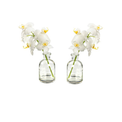 Vase Orchidée