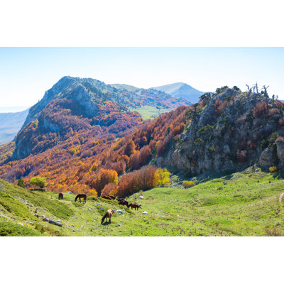Pollino National Park by Antonel - Wrapped Canvas Print
