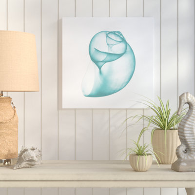 Turquoise Water Snails - Wrapped Canvas Print