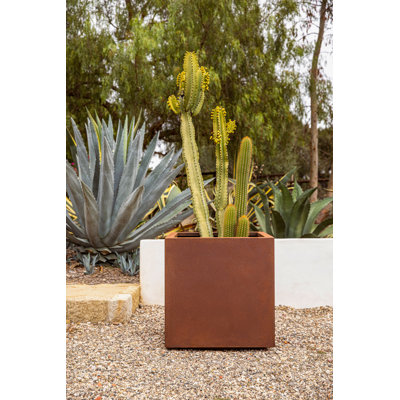 Corten Steel Series Cube Planter Box