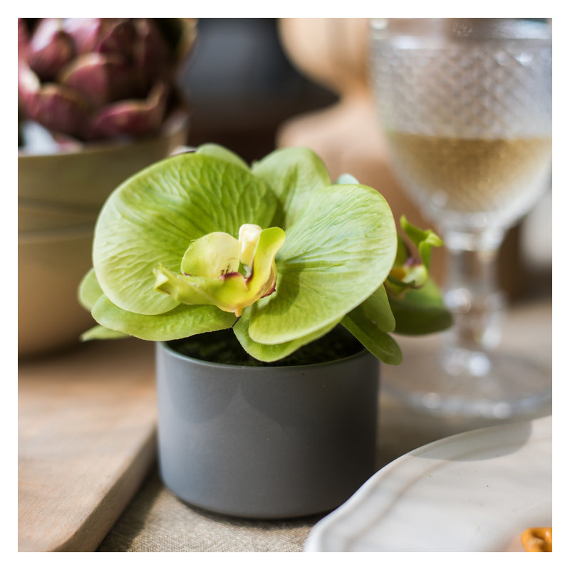 Mini arrangement floral orchidée en pot, Vert