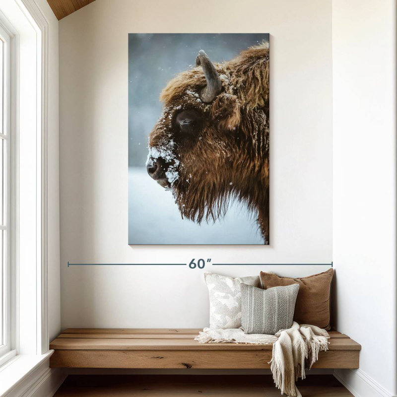 Bison enneigé Brampt, H 48 po x l 32 po
