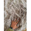 Solid Colour Faux Fur 60cm X 90cm Area Rug