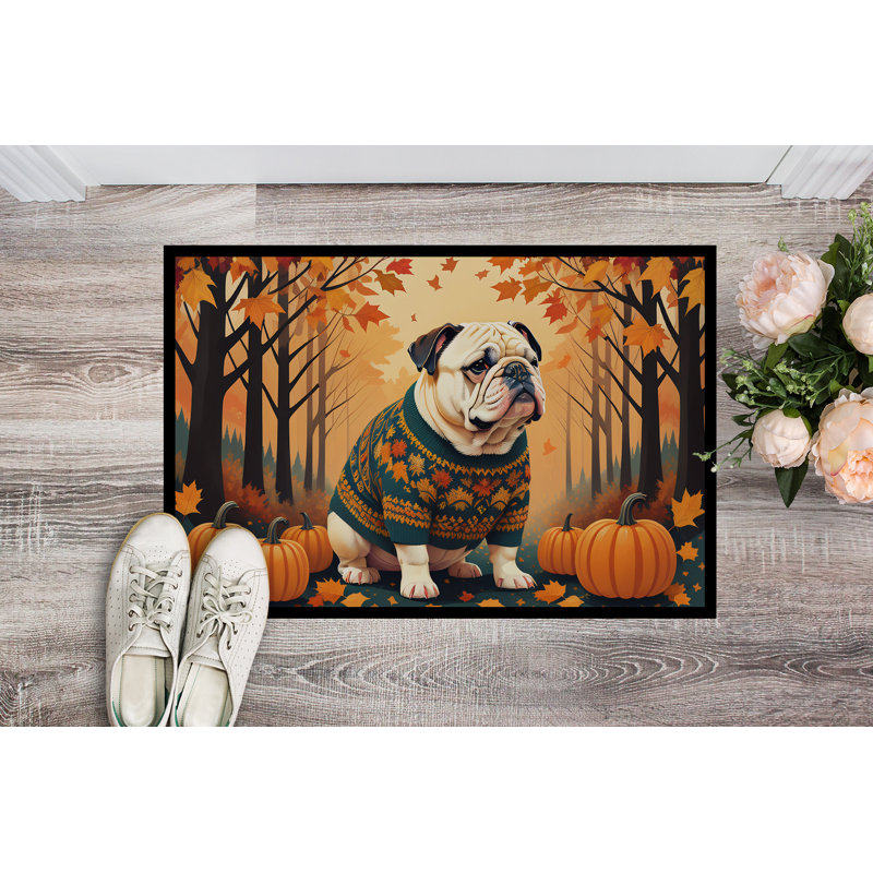 Chosposi Non-Slip Doormat, 18" W x 27" L