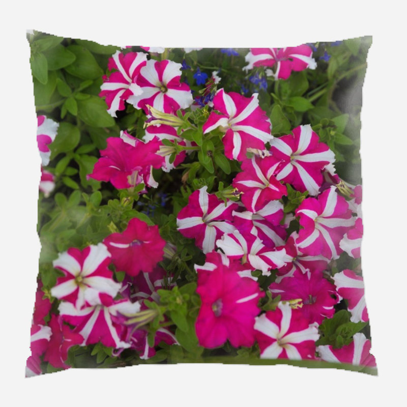 Coussin intérieur/extérieur