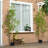 Faux Bamboo Tree in Cement Pot-1583110476
