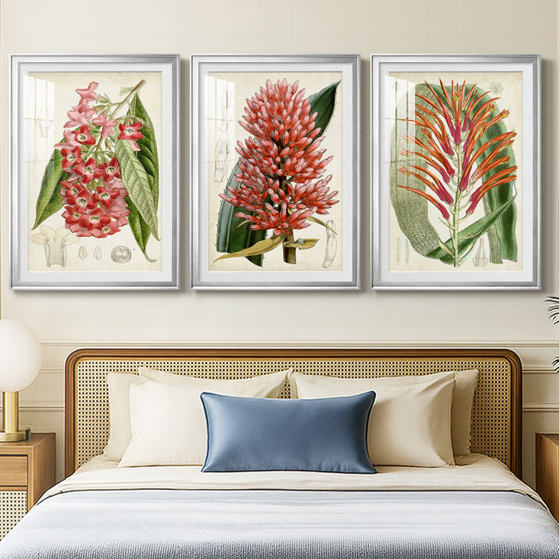 Tropical Gems IV - encadré sur mesure de qualité supérieure avec mat - 3 pièces, Argent argent, H 15 po x l 19 po