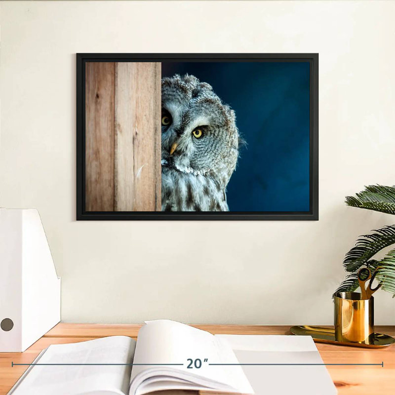 Peeking Owl, H 9 po x l 13 po
