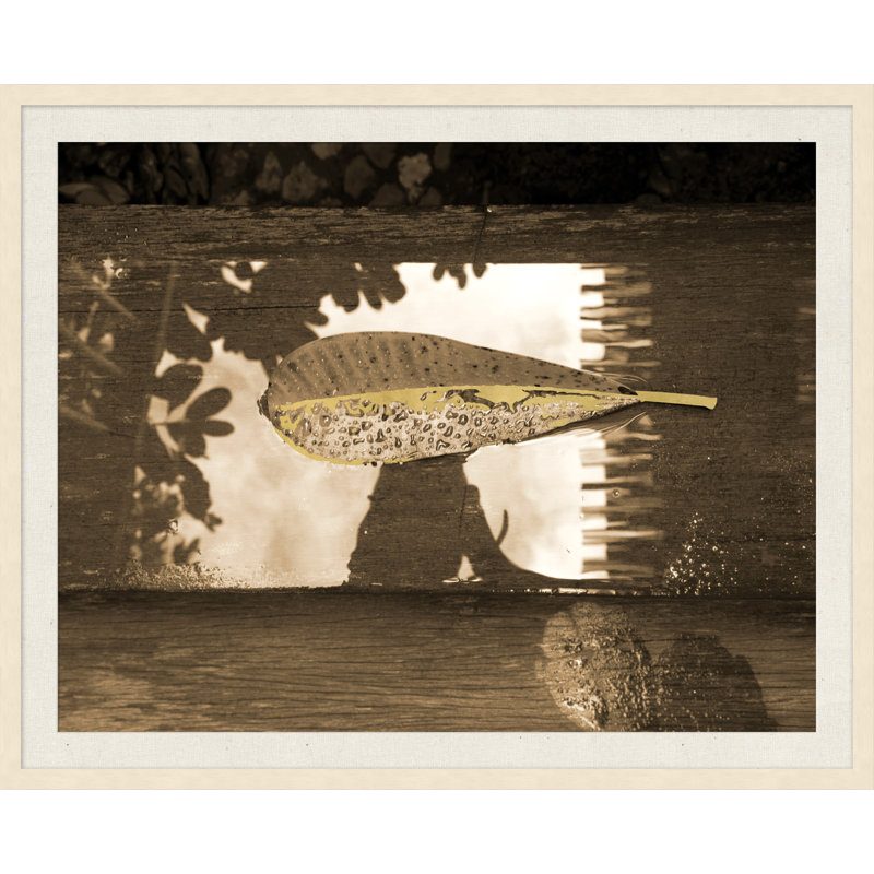 «Floating Leaf», reproduction de photo sur verre encadrée