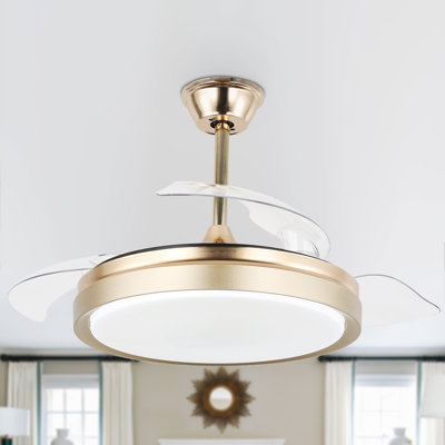 Dinae 42'' Ceiling Fan with LED Lights