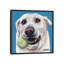 «Yellow Lab With Ball» par Hippie Hound Studios, impression sur toile tendue-73655176-73655177-73655186