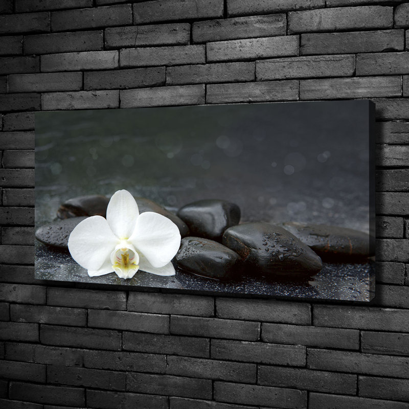Orchid - Wrapped Canvas Print, Canvas, 50cm H x 100cm W